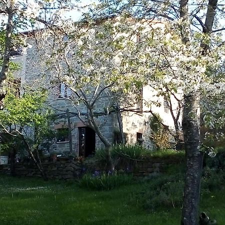 بييترالونجا La Fonte B&B المظهر الخارجي الصورة