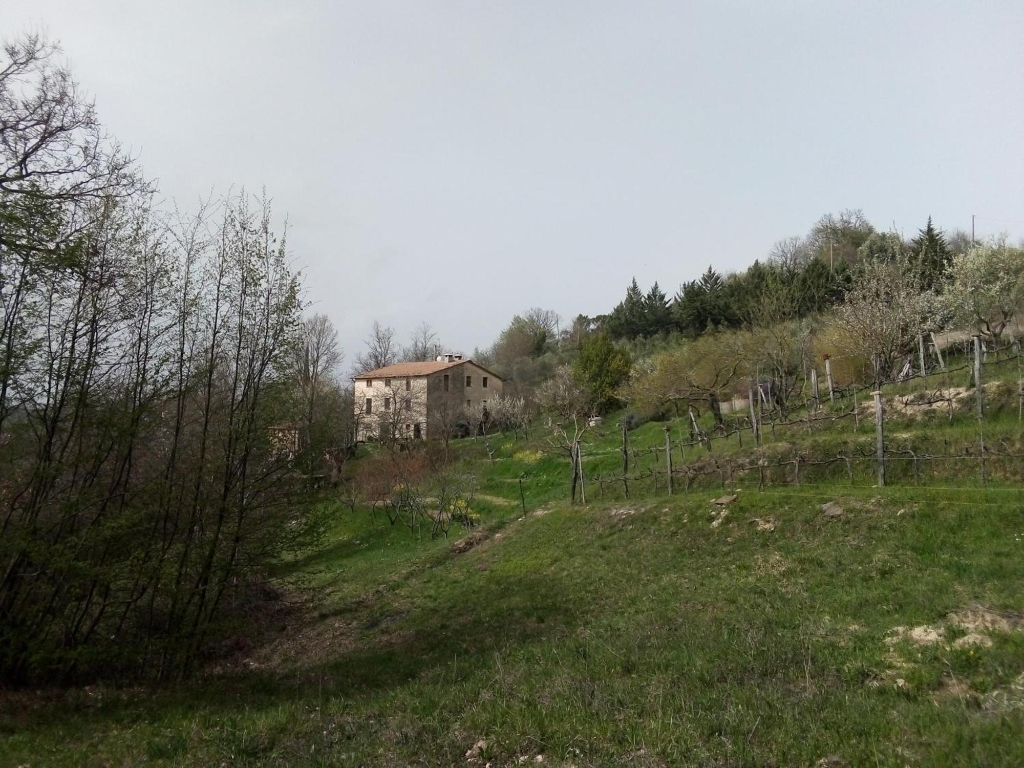بييترالونجا La Fonte B&B المظهر الخارجي الصورة