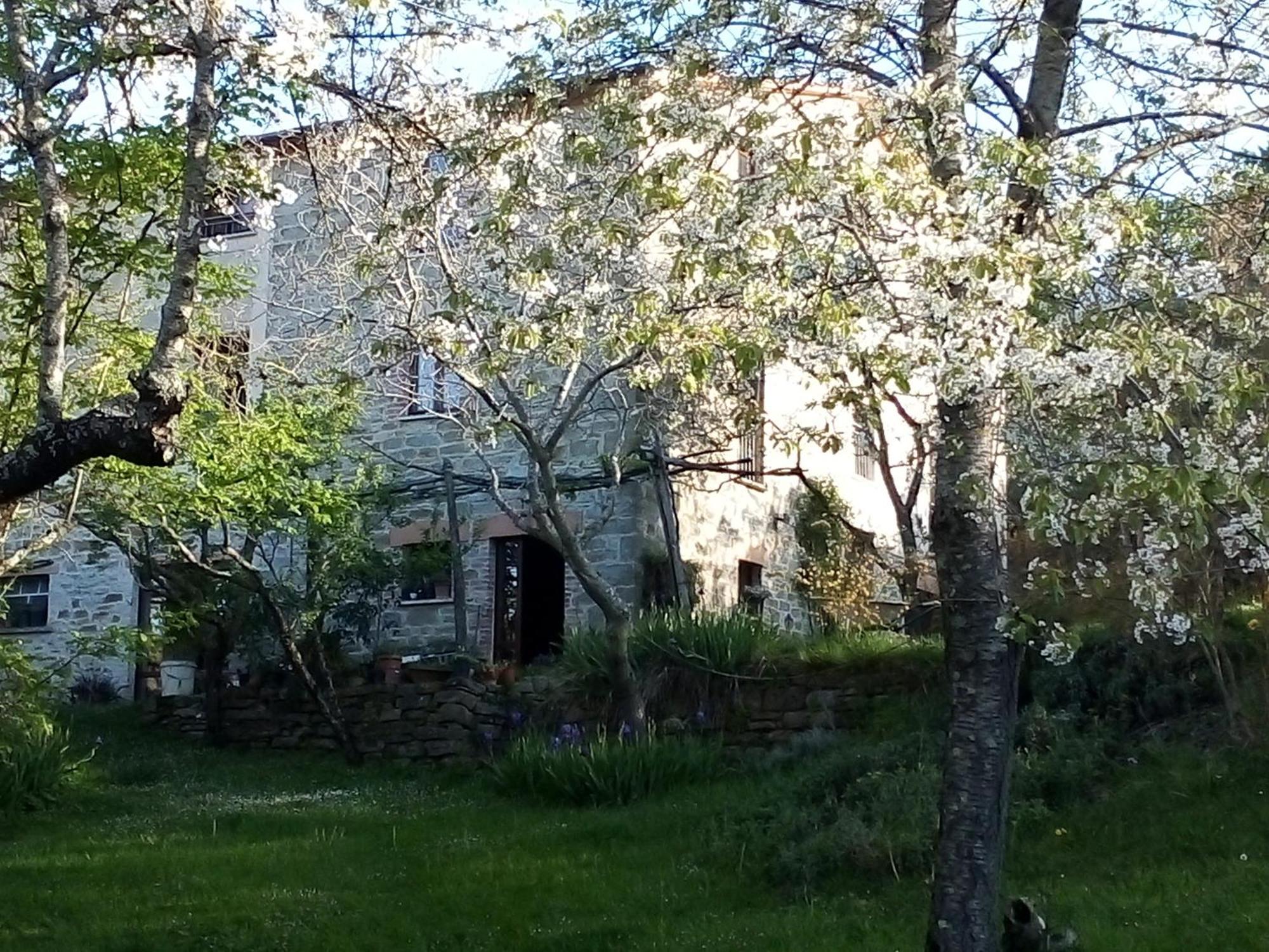 بييترالونجا La Fonte B&B المظهر الخارجي الصورة
