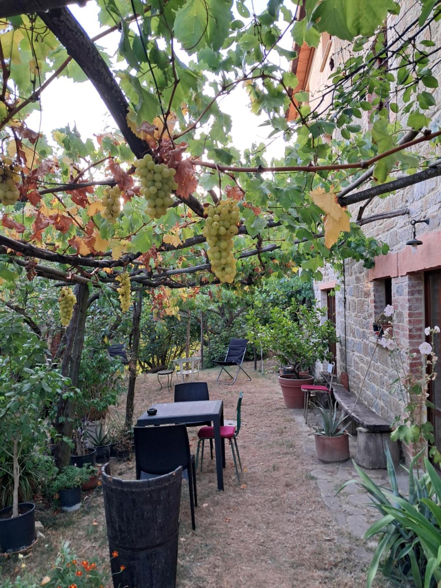 بييترالونجا La Fonte B&B المظهر الخارجي الصورة
