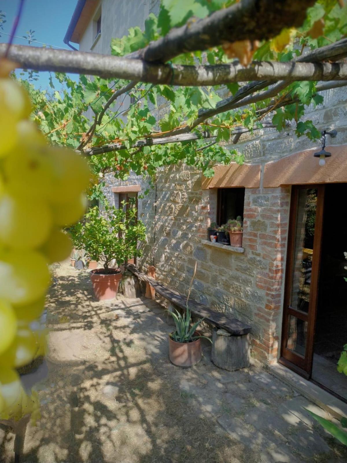 بييترالونجا La Fonte B&B المظهر الخارجي الصورة