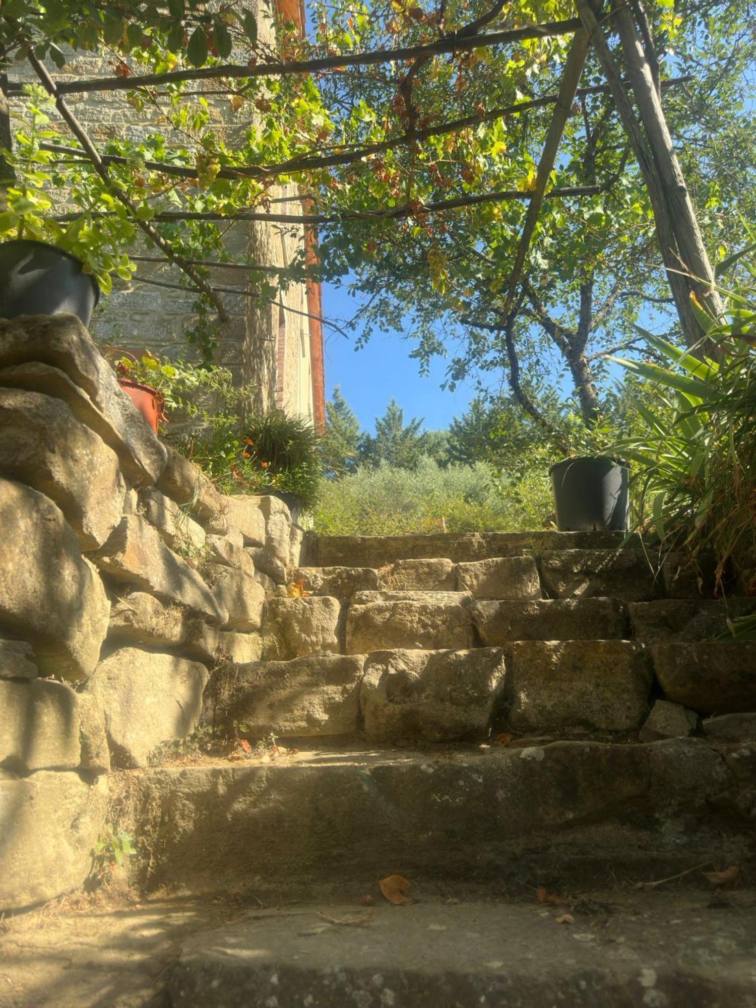 بييترالونجا La Fonte B&B المظهر الخارجي الصورة