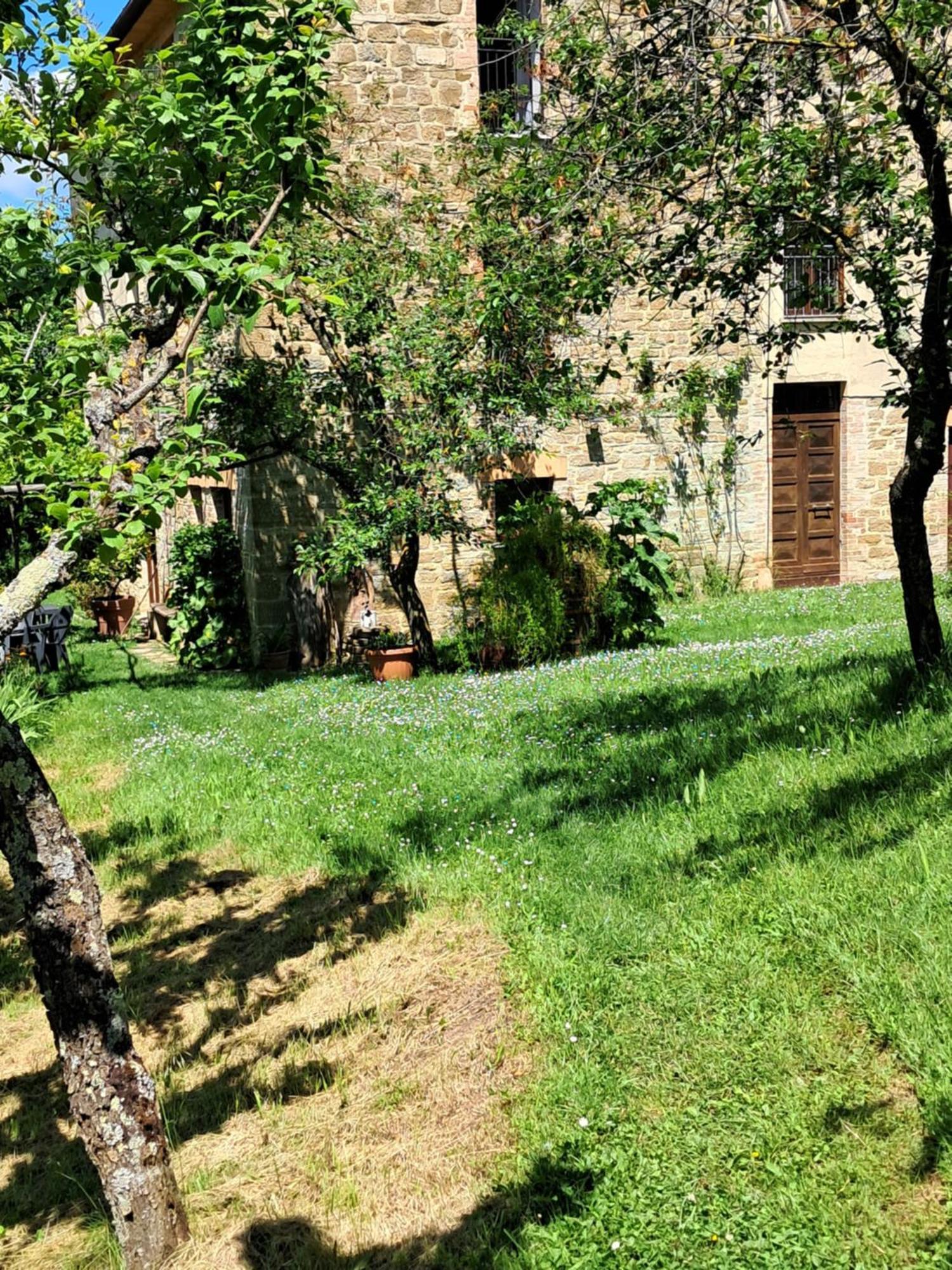بييترالونجا La Fonte B&B المظهر الخارجي الصورة